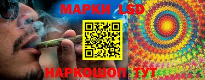 spice Кизилюрт