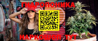 стафф Керчь